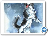 Watercolor: UFO and border collie